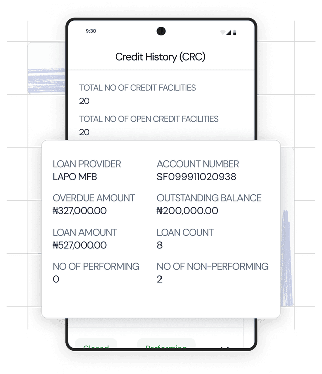 Zeeh Insights (Credit Intelligence)